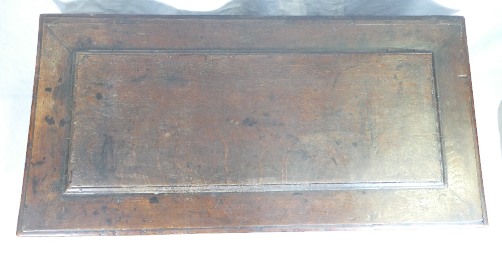 Early 19th century panelled oak two drawer coffer, w115 x d58 x h99cm. - Image 8 of 10