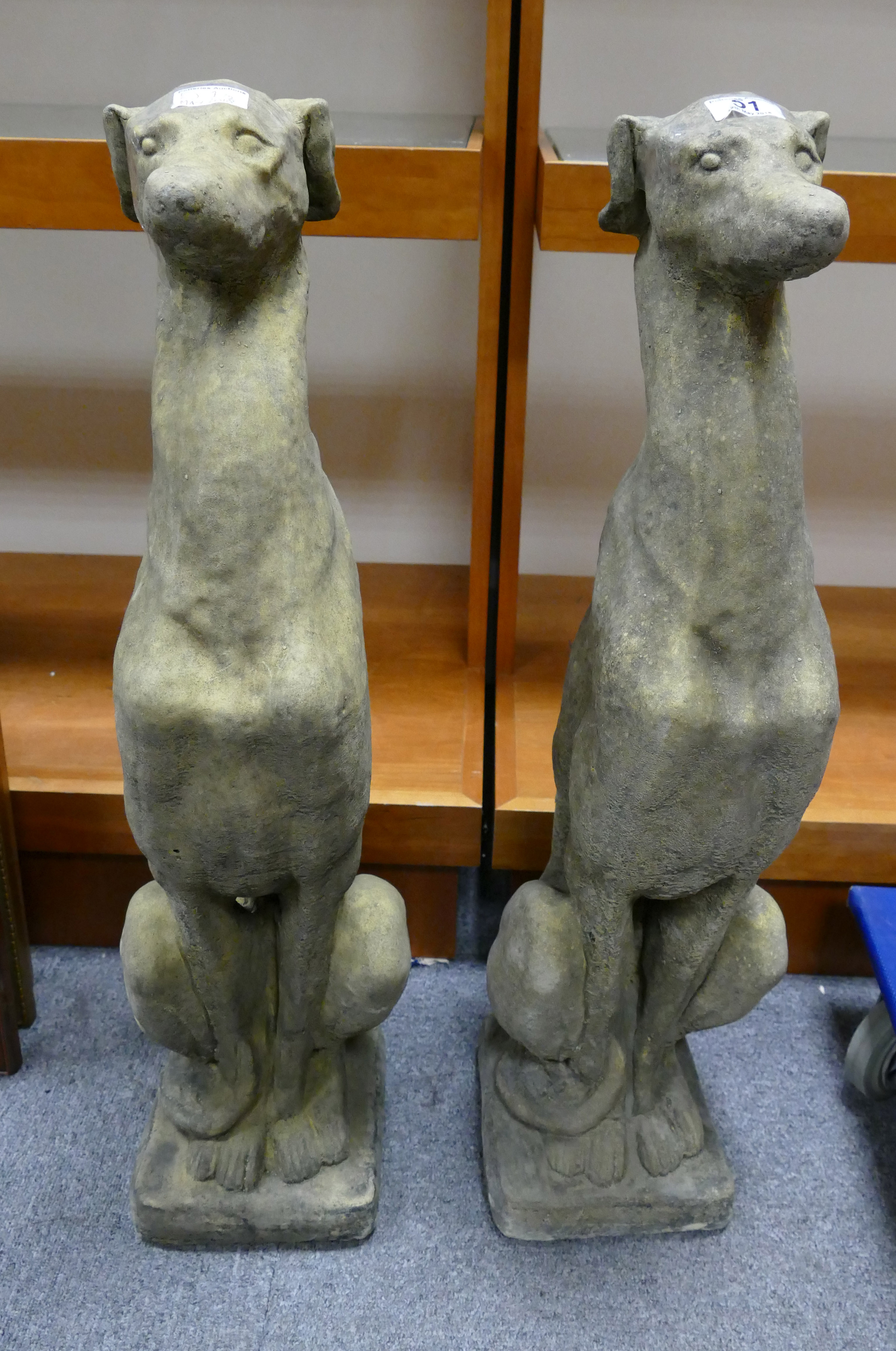 Pair of vintage style sitting grey hound statues,