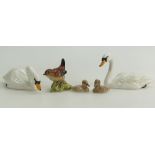 Beswick Swans 1685, 1684, cygnets 1686,