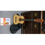 Eleca beginners 3/4 size guitar model number DAG-IN-36,