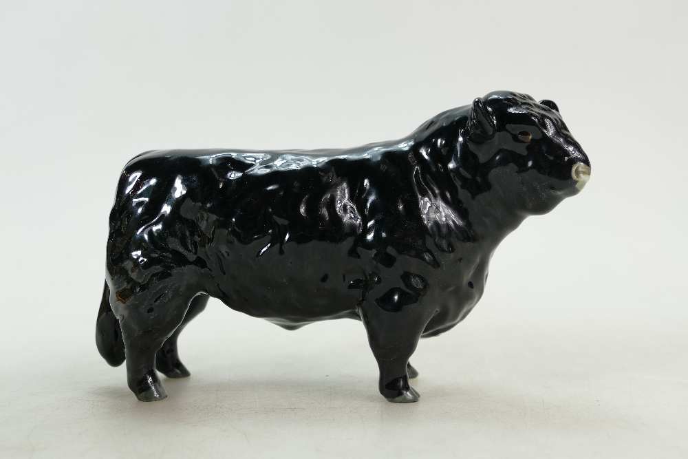 Beswick black Galloway Bull 1746A