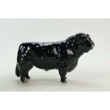 Beswick black Galloway Bull 1746A