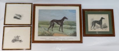 Group of 4 greyhound framed pictures & drawings - 2 prints depicting Mr McGrath,