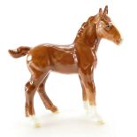 Beswick large Shire foal 951 in Chestnut gloss