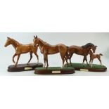 Royal Doulton connoisseur horse models comprising "First Born" DA182 brown matte ,