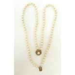 Pearls - double row string of cultured pearls, with large 9ct gold catch,