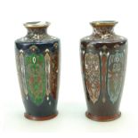 Early 20th Century pair of Oriental Cloisonne enameled vases of fine quality with oriental foliage