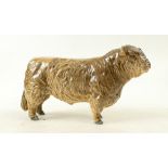 Beswick Dunn Galloway Bull 1746C