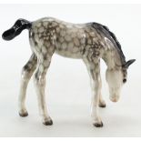 Beswick grazing foal 946 in rocking horse grey gloss (minute nick to edge of one ear)