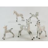 A collection of Beswick foals including 815, 1816,763, 1084 and 835,