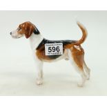 Royal Doulton model of an American Foxhound HN2525