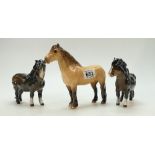 Beswick Dunn Highland Pony 1644and two Shetland ponies (all have damaged ears)(3)