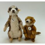 Steiff branded Meerkat Bear named MUNGO and similar rodent named Rico. (2).