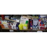 A very large collection industrial and domestic cleaning products to include bleaches, mops, gloves,