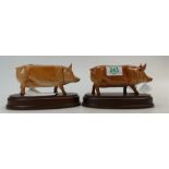 A pair of Royal Doulton Tamworth pigs on plinths