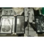 A large collection of sealed Elvis black and white prints (8).