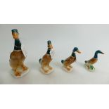 A collection of Mallard duck model 756/2