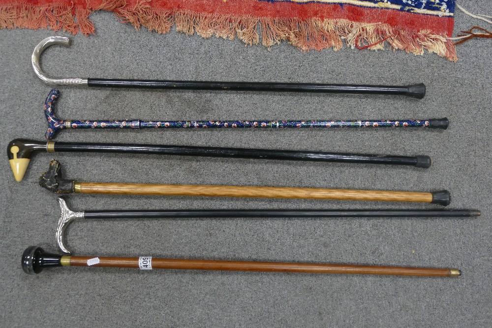 A collection of modern walking sticks (6)