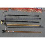 A collection of modern walking sticks (6)