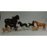 A small collection of Beswick horses to include 818 harnessed shire, Palamino small foal 997,