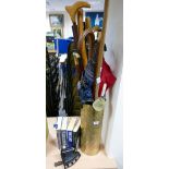 Brass embossed umbrella stand with a collection of walking sticks,