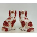 Pair of 19th Century Staffordshire Spaniel dogs 24.5cm high.