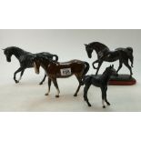 A selection of Beswick to include Black Beauty 2466 and foal 2536,