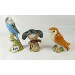 A Beswick Kingfisher, a blue second version Budgie 1216, and small Owl 2026. (3).