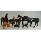 A small collection of Beswick horses to include 818 brown shire, Black Beauty ( both ears A/F0,