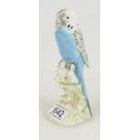 Beswick blue Budgie facing left, Model 1