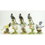 Eight Crown Staffordshire models of birds by J T Jones including three of the Bind Widow and one of