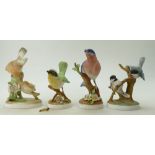 A small collection of Crown Staffordshire birds to include a Blue Bird, Chickadee,