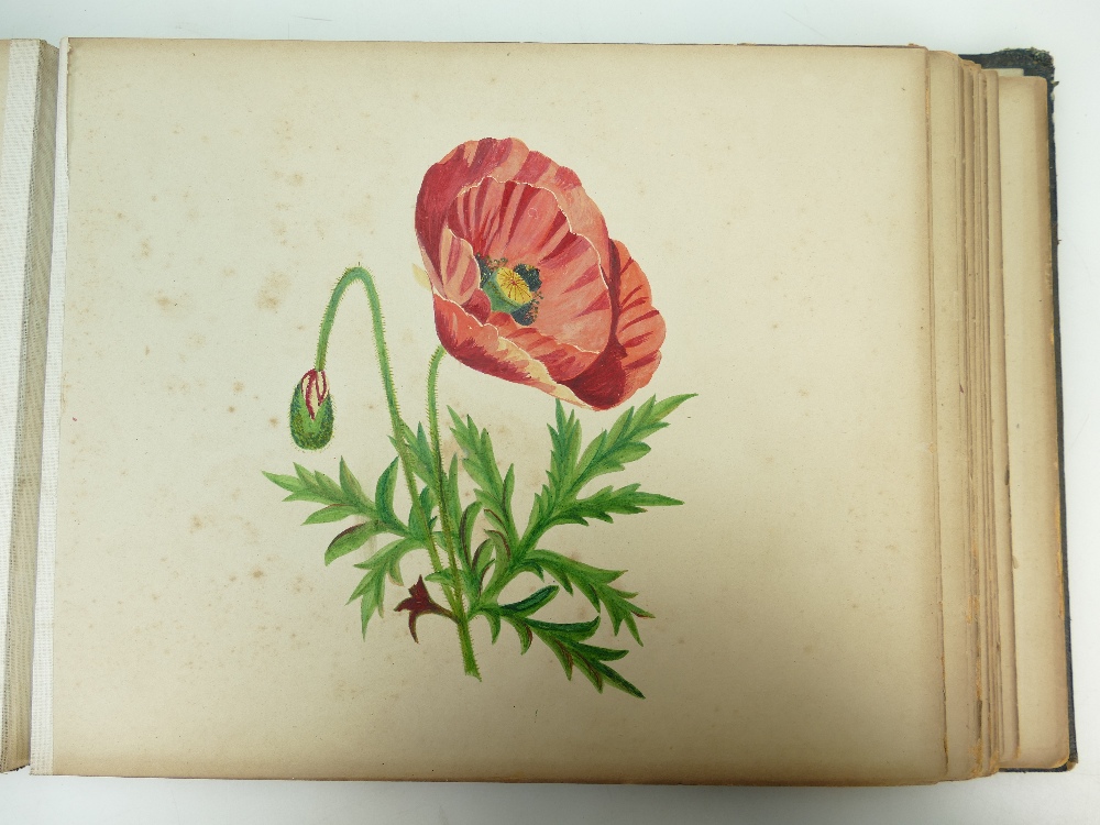 A Victorian hand painted watercolour scrap album dated 1885 artist A Day, - Image 4 of 4