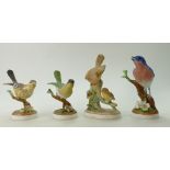 A group of Crown Staffordshire birds to include a Mistle Thrush,