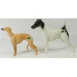 Beswick Whippet (1st version) 1786A together with a Smooth Haired Terrier 'Endon Black Rod' 964 (2)