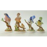 A small collection of Crown Staffordshire birds to include a Yellow Throat Warbler, Blue Jay,