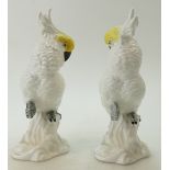 A pair of Crown Staffordshire models of Cockatoos by J T Jones (2)