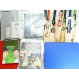 Large collection of Cricket memorabilia including mainly England v Australia Ashes booklets,