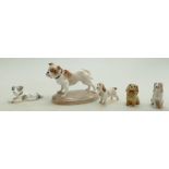 A crown Staffordshire champion showdog paperweight of a Bulldog together with four other miniature