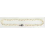 Cultured Pearl Choker with 18ct white gold & sapphire cluster catch. Measures 41cm approx.