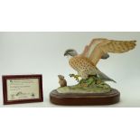 A Crown Staffordshire Limited Edition of a Kestrel and Mouse by John Bromley with certificate no 44