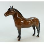 Beswick Dartmoor pony 'Jentyl' 1642