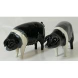 Beswick Wessex Saddleback Sow (1 ear A/F) 1511 and a Wessex Saddleback Boar 1512 (2)