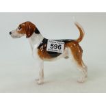 Royal Doulton model of an American Foxhound HN2525