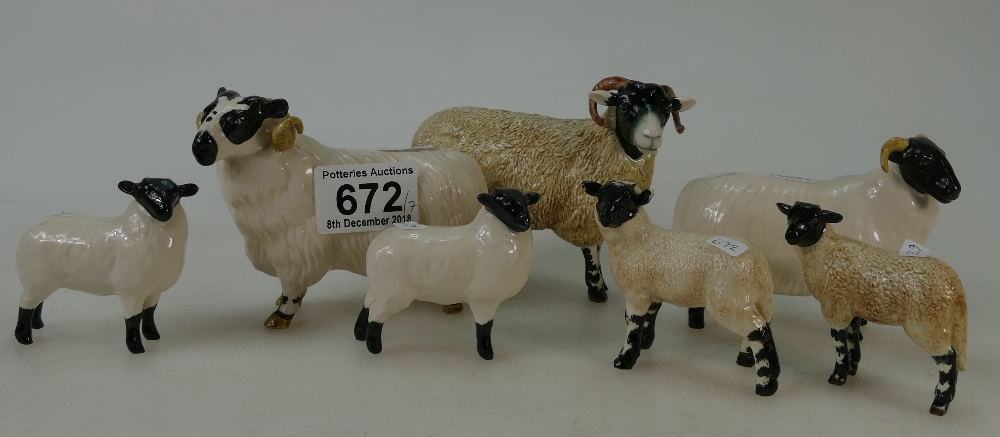 A collection Beswick Black Sheep lamb 1828 x2,