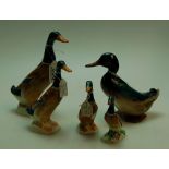 A collection of Mallard duck model 756/2A, 756/2 and 756/1,