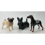 Beswick dog figures Doberman 3121,