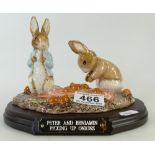 Beswick Beatrix Potter Peter & Benjamin picking up onions tableau.