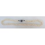 Cultured Pearl Choker with 18ct. white gold & sapphire cluster catch. Measures 41cm approx.