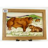 Moorcroft Limousin Bulls trail plaque from the countryside collection.